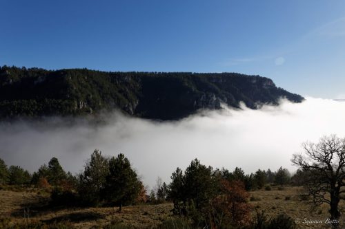 Au dessus d'un nuage dans les Cévennes