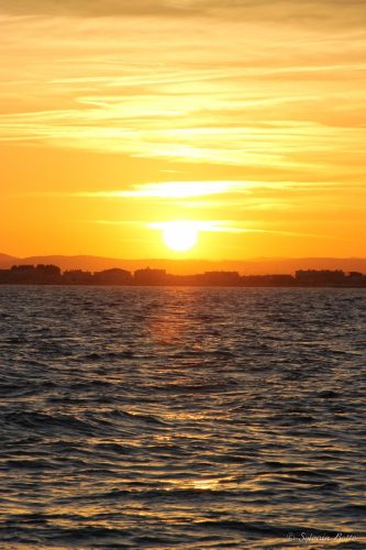 Couché de soleil sur la mer